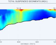 TSS Fig. 2