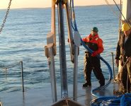 Deploying vibratory corer during geotechnical sampling. Wind Farm Development Fig. 4