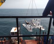 Jet sled cable installation. Wind Farm Development Fig. 6