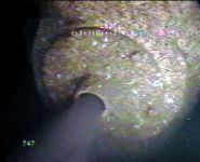 Ocean Outfall Fig. 1