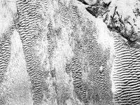 Side scan sonar record showing surficial geology and seafloor objects. Submarine Cable Fig. 2