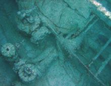 Archaeological Fig. 1