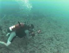 Diver Quadrat Survey. Benthic Habitat Fig. 1