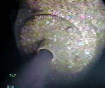 ROV video frame of a functioning diffuser. Underwater Infrastructure Fig. 1